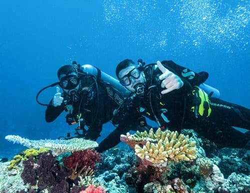 Underwater Kit Rentals