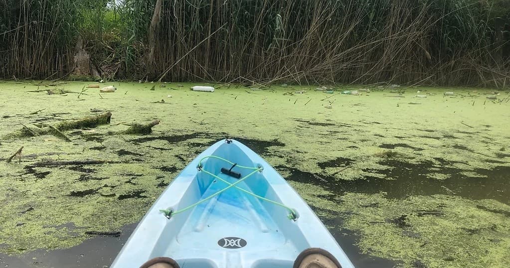 Single Kayak Rental!