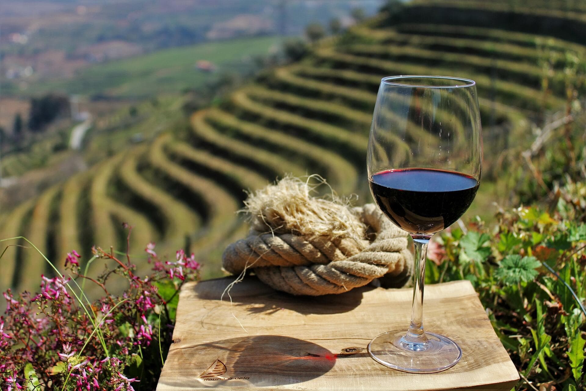 Private Tour - Douro Valley: ONE Winery, Lunch and River Cruise