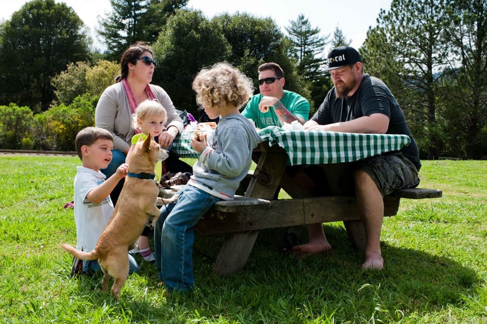 Picnic Baskets