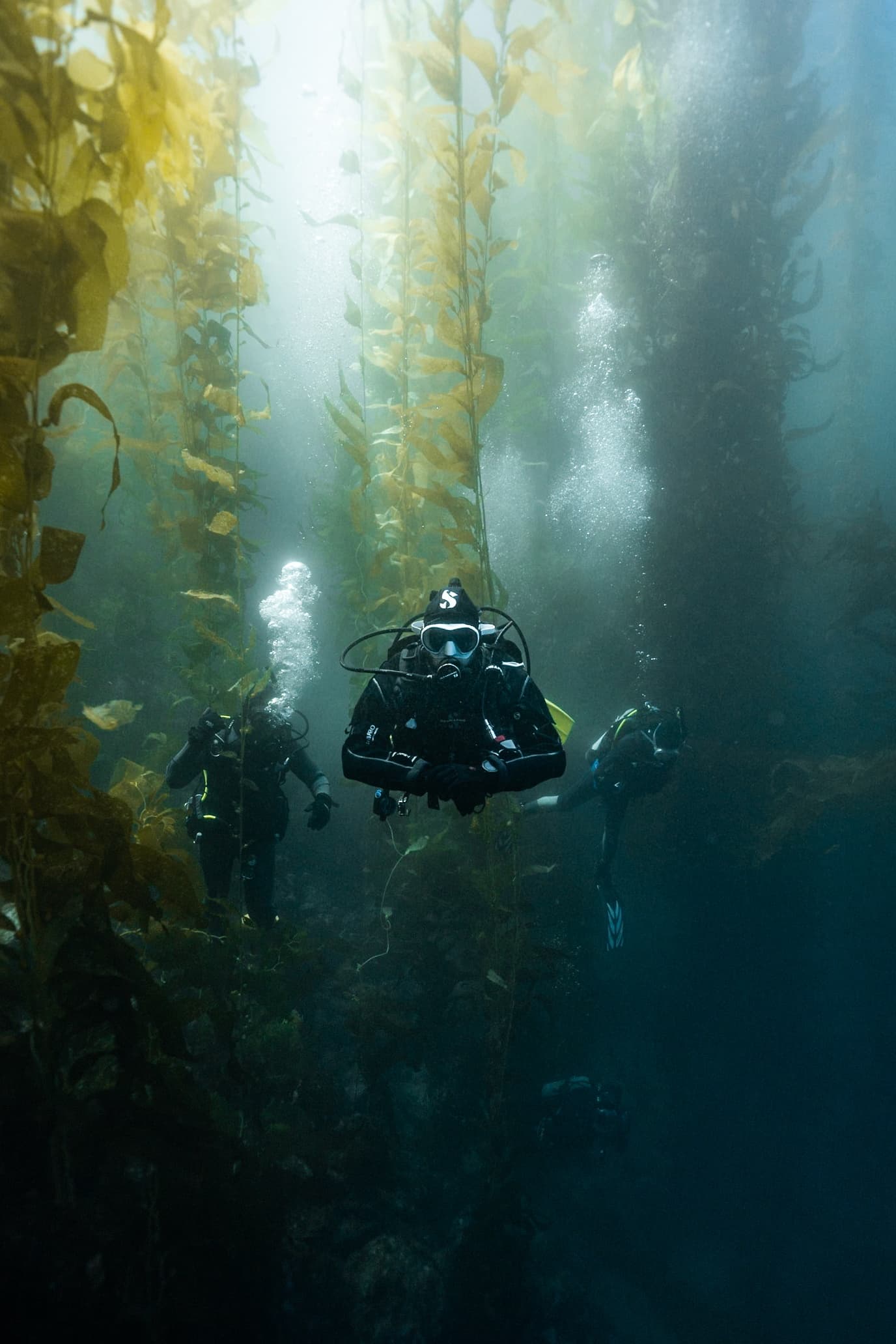 ​​Catalina Island Boat SCUBA Experience (3 Dives)