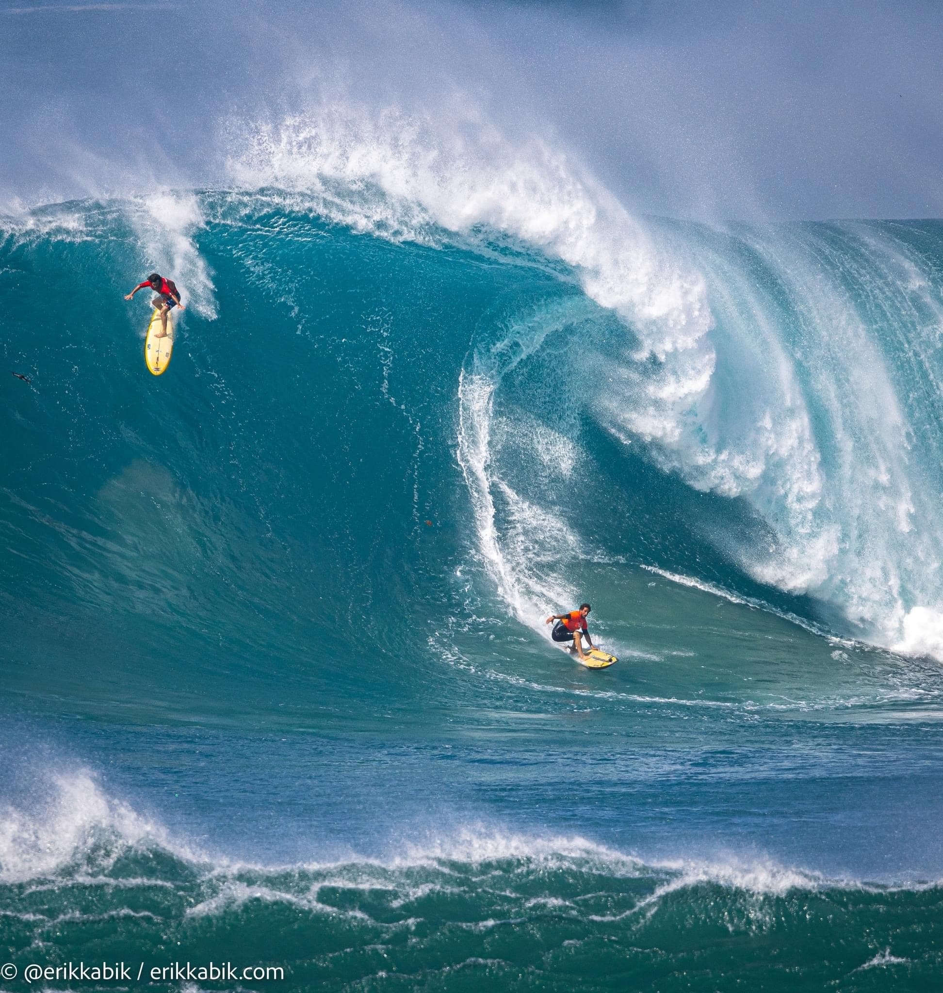 Sea / Eat & See the North Shore