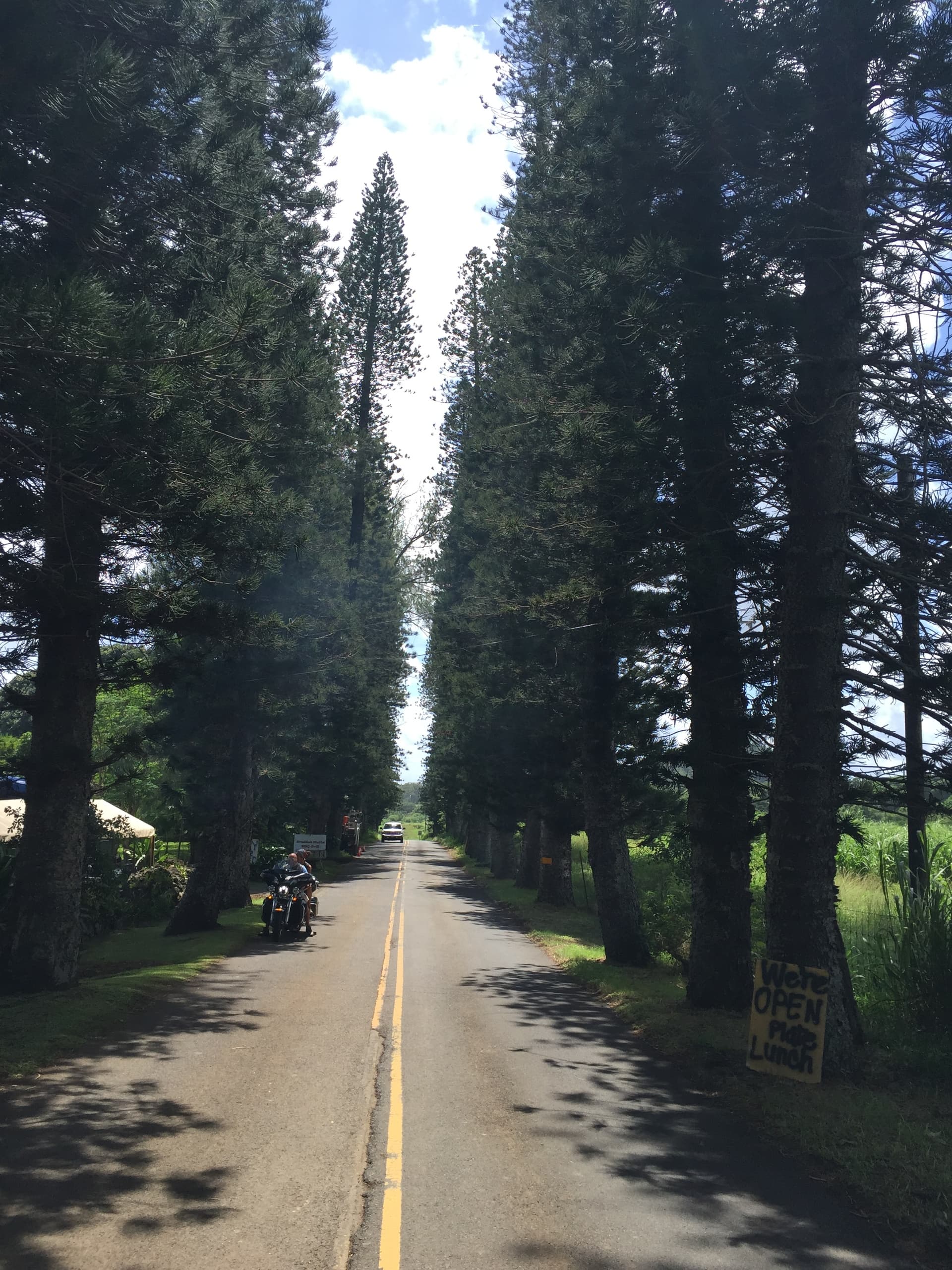 Road to Hana Day Trip from Kahului