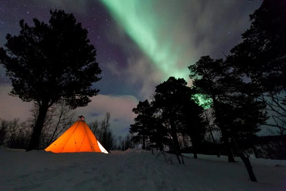 Autumn overnight tour with dog sled team