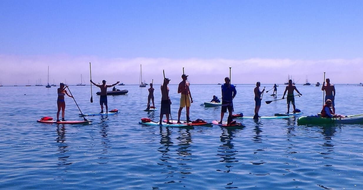 Paddleboard Rentals