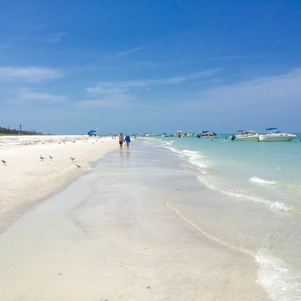 3hr Shell Key Shelling Trip