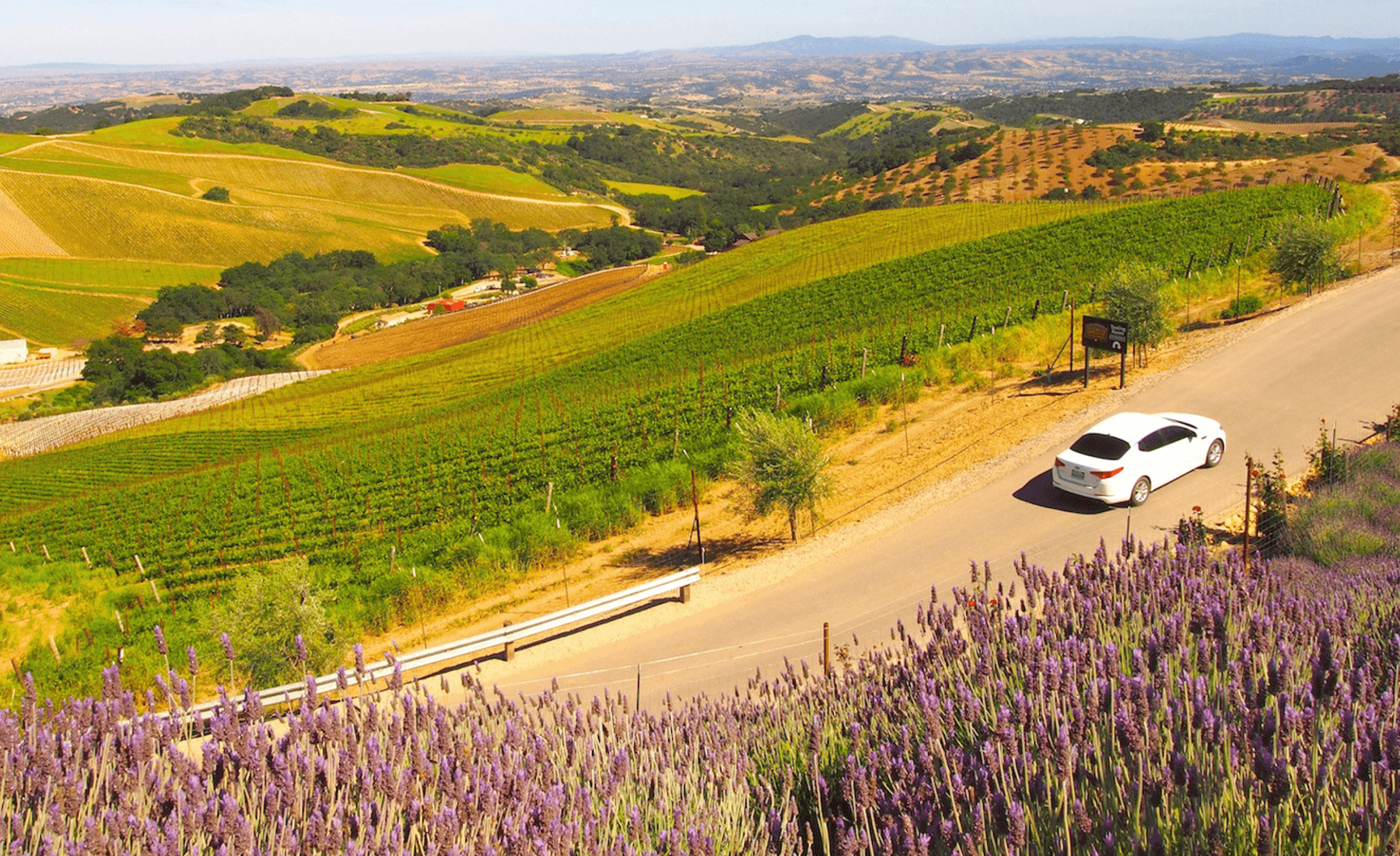 Santa Ynez, Santa Barbara Wine Tours & Beyond • Destination Drivers