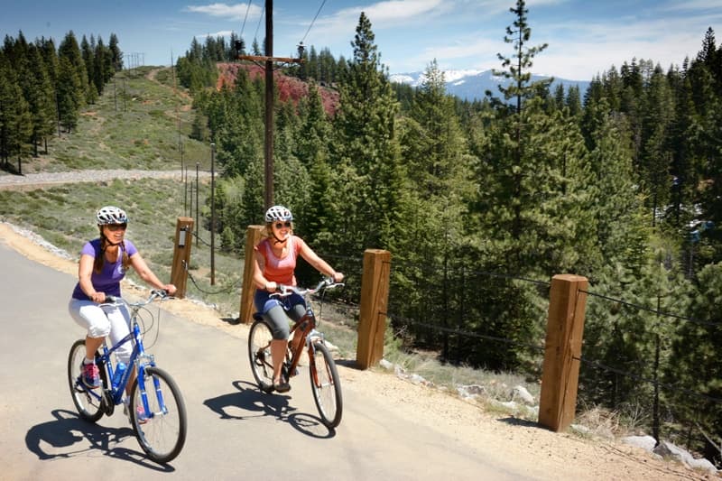 Comfort Bike  - All Day Rentals