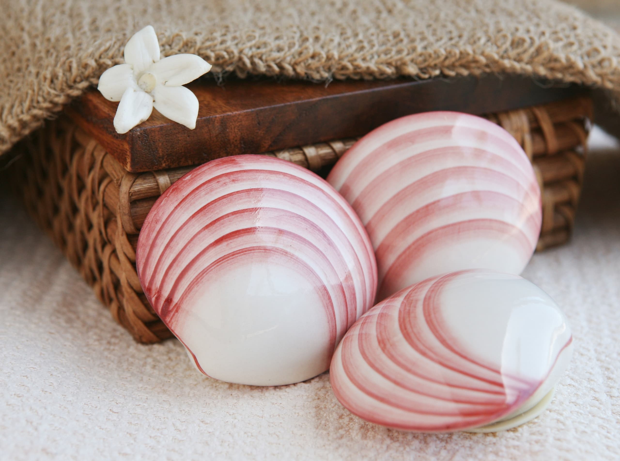 Lava Shell Rücken-/ Nacken-/ Bein Massage