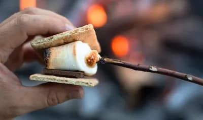 Tundra Tours; Snowshoe Night Hike 'N S'mores 1.0