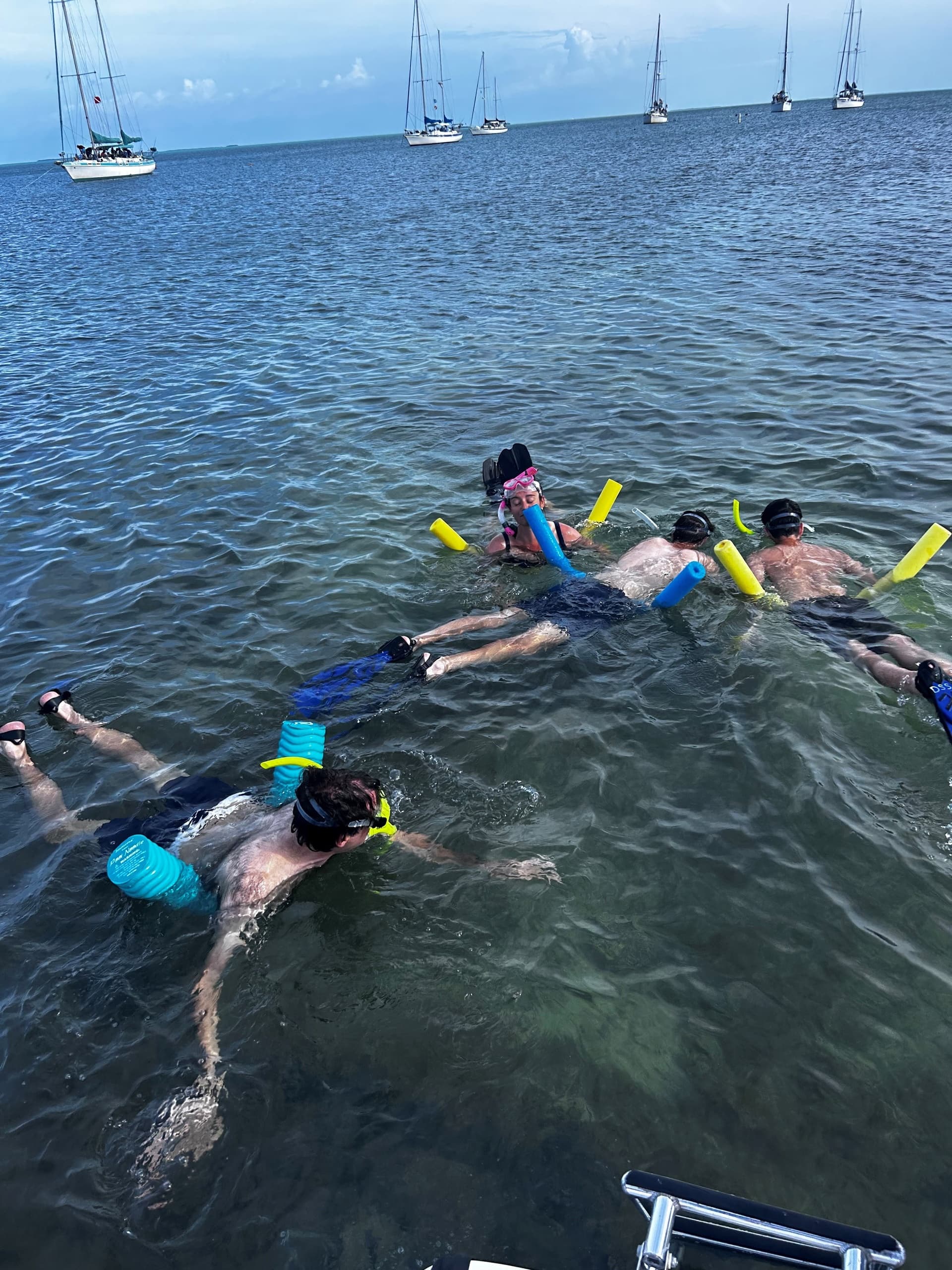 3 Hr. Private Tour / Snorkel, Eco-Tour or Sandbar Tours