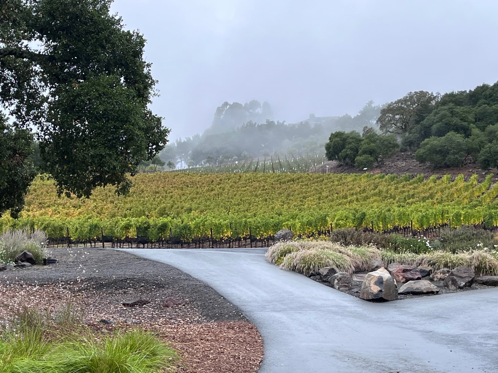 Wine Tour Transportation