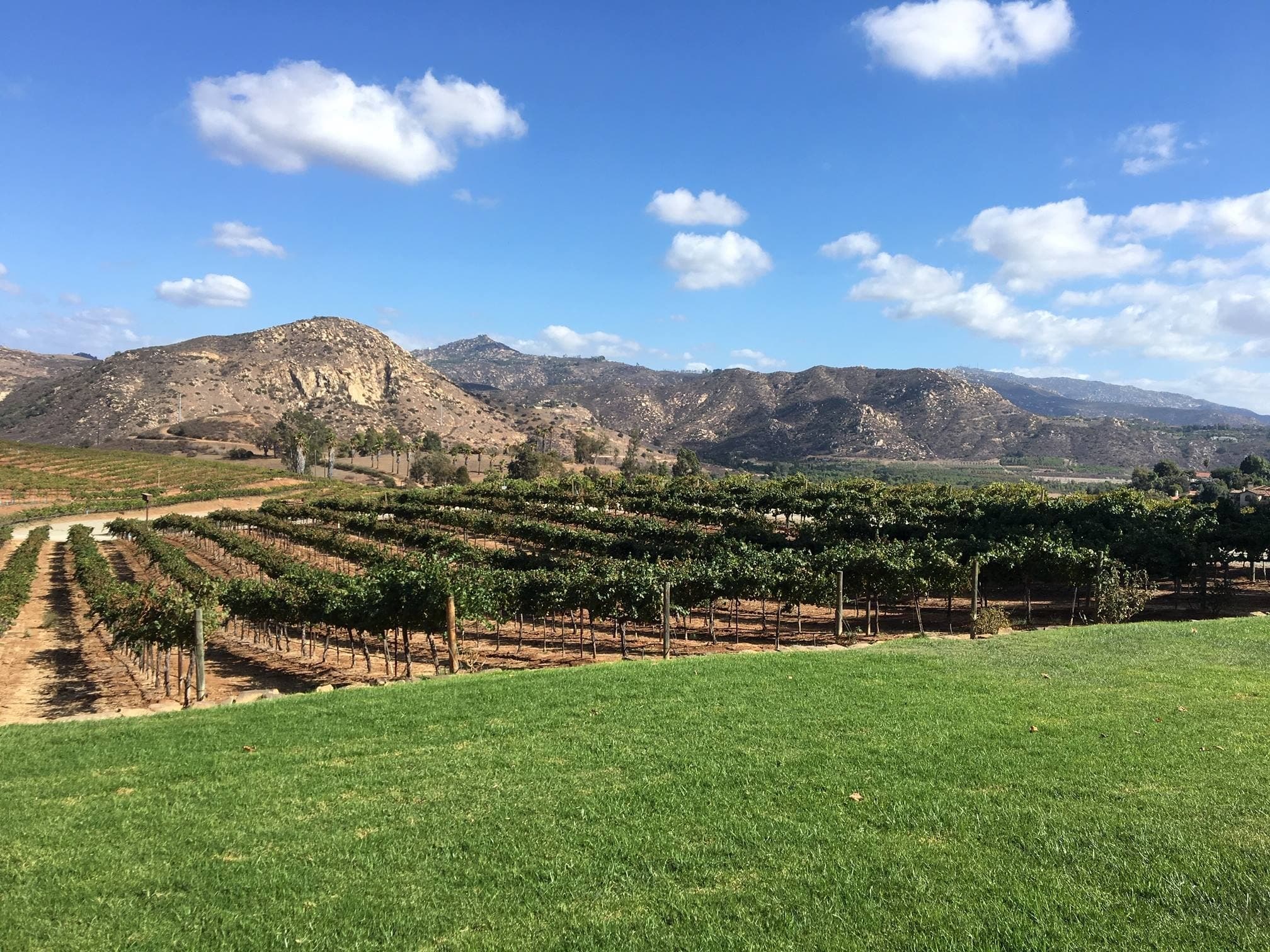Chauffeured Vineyards Adventure