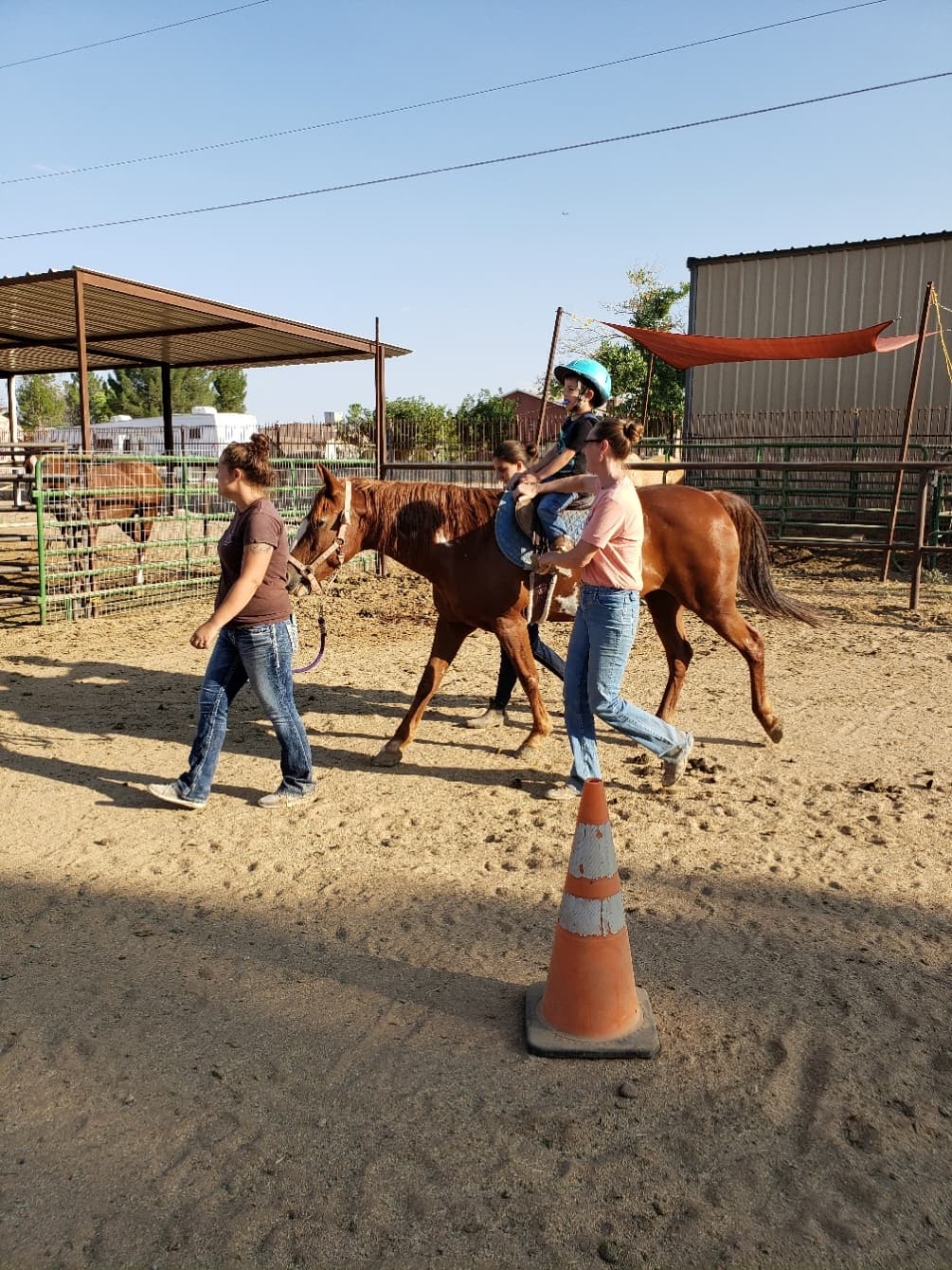 Horses for Homeschoolers