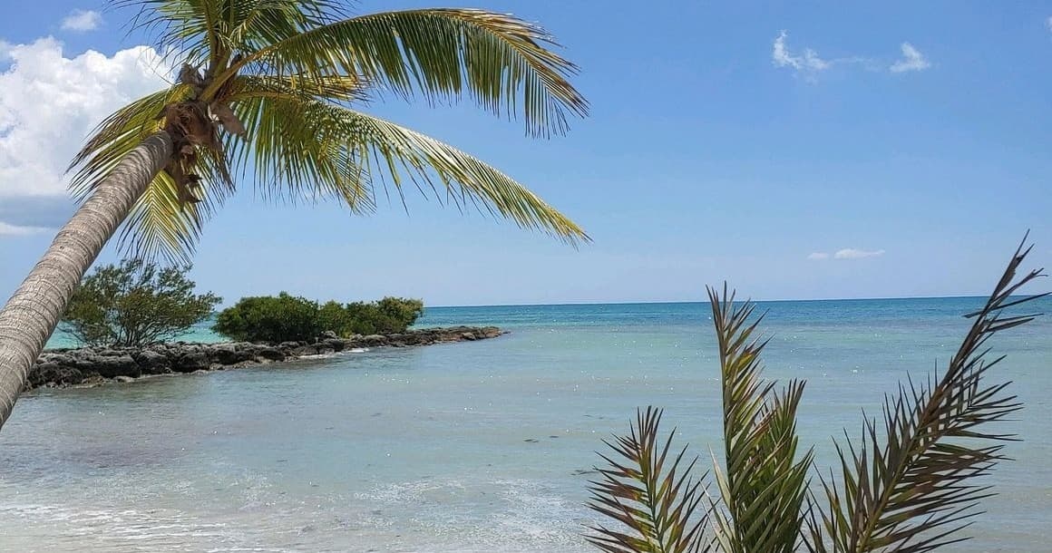 Sandbar Charter