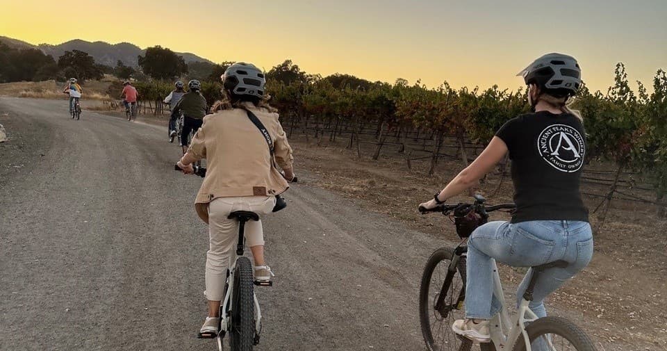 eBike Vineyard Tour