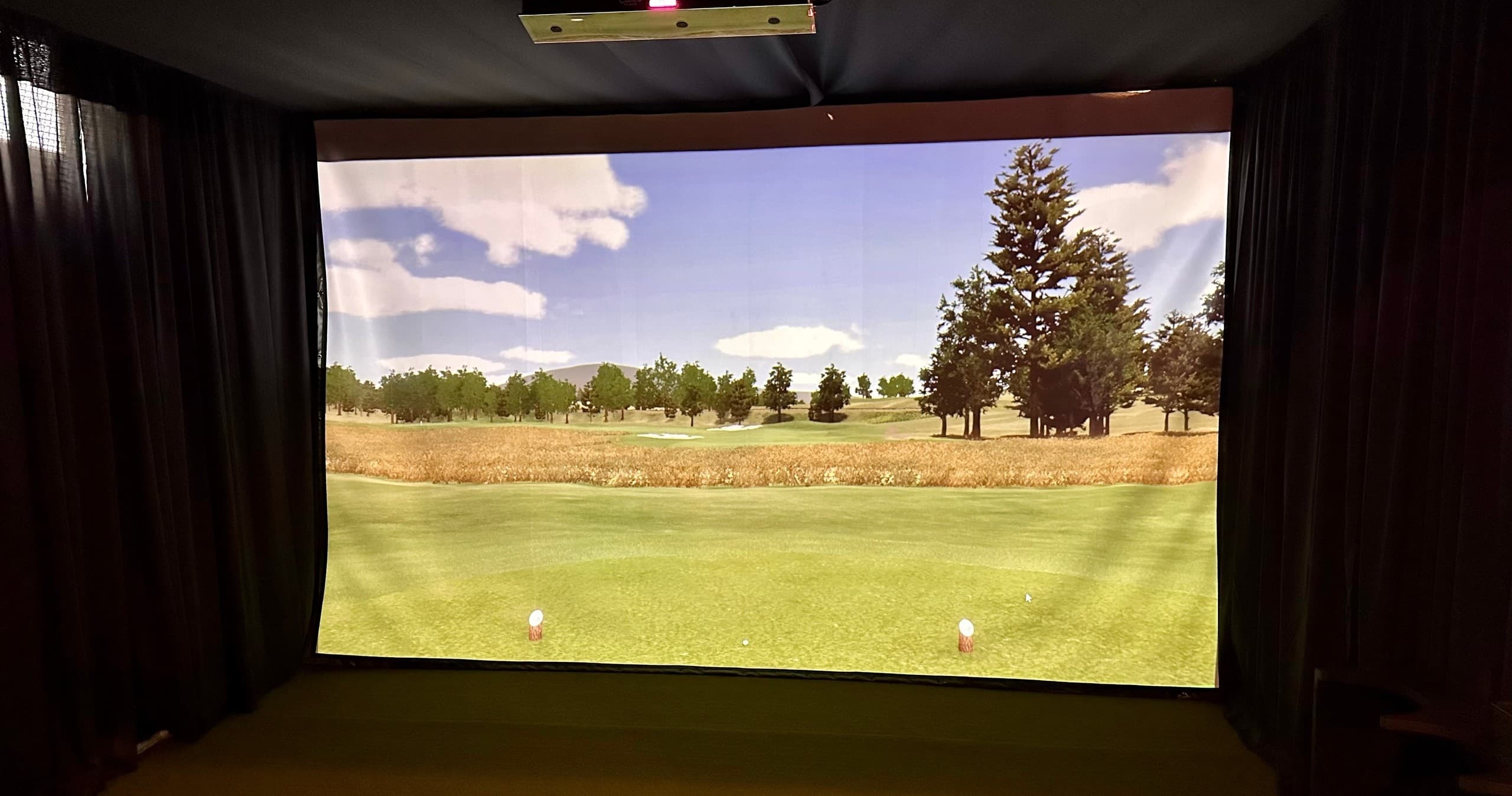 Golf Simulator #4