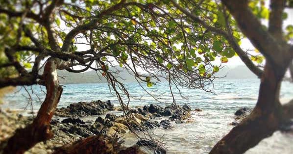 Hiking Excursion - Brown Bay