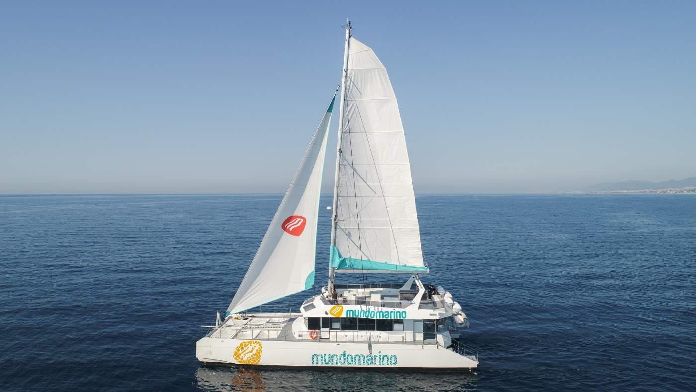 Tour en Catamarán + Baño - Málaga