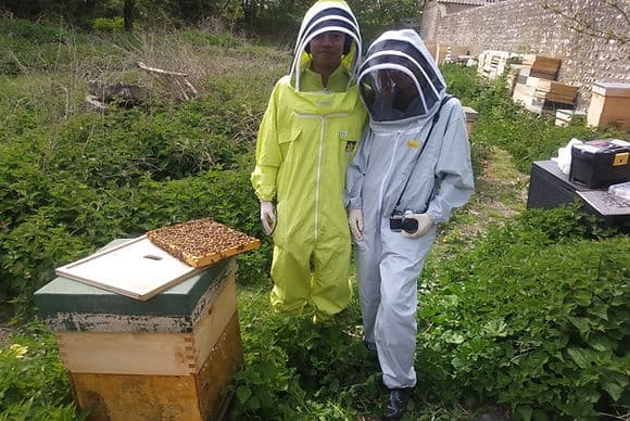Meet my Bees experience