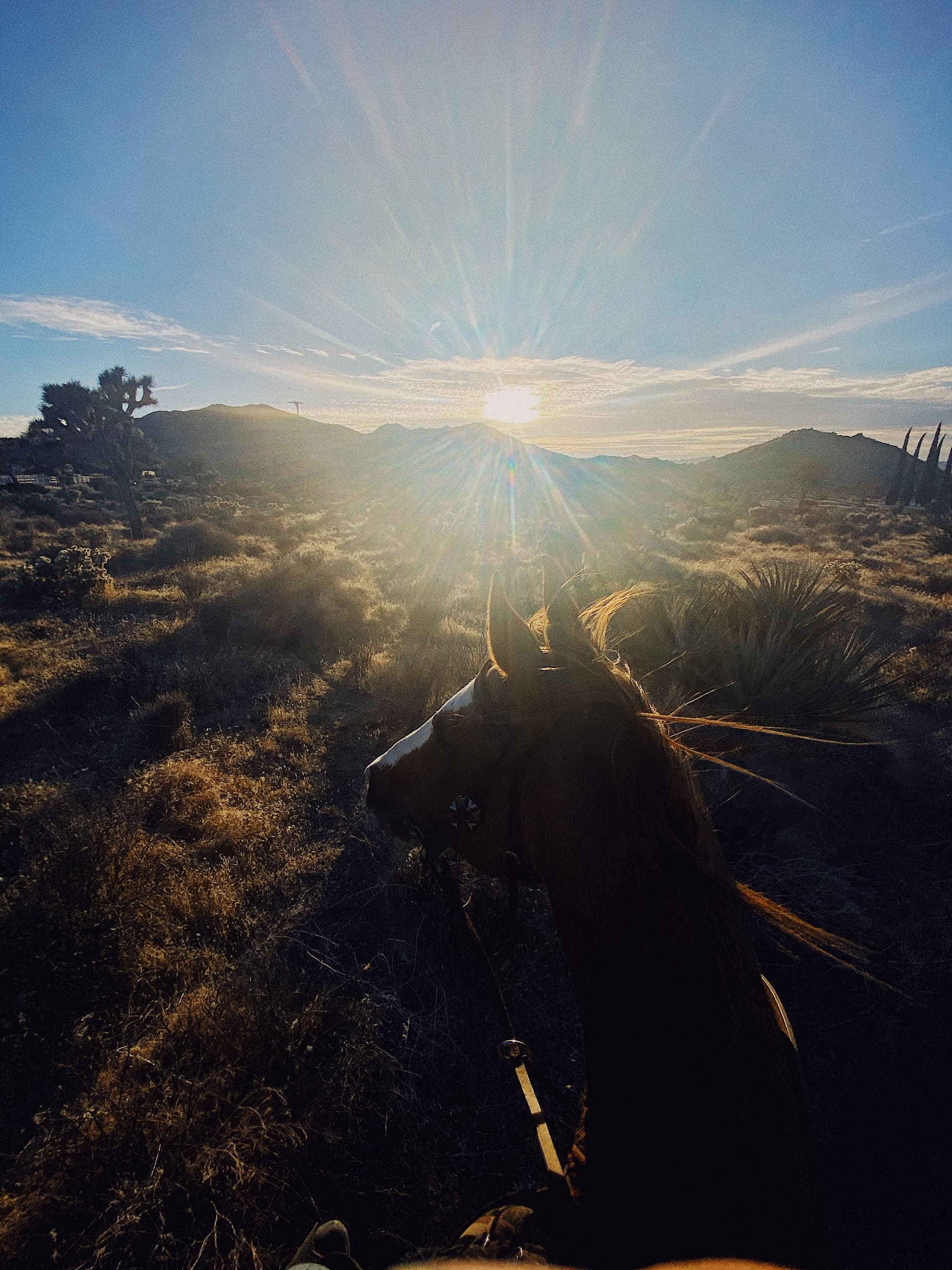 Black Rock Canyon Loop