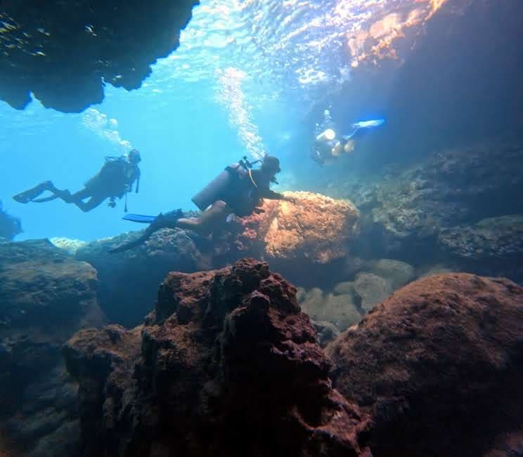 Non-Private Certified Dive Adventure