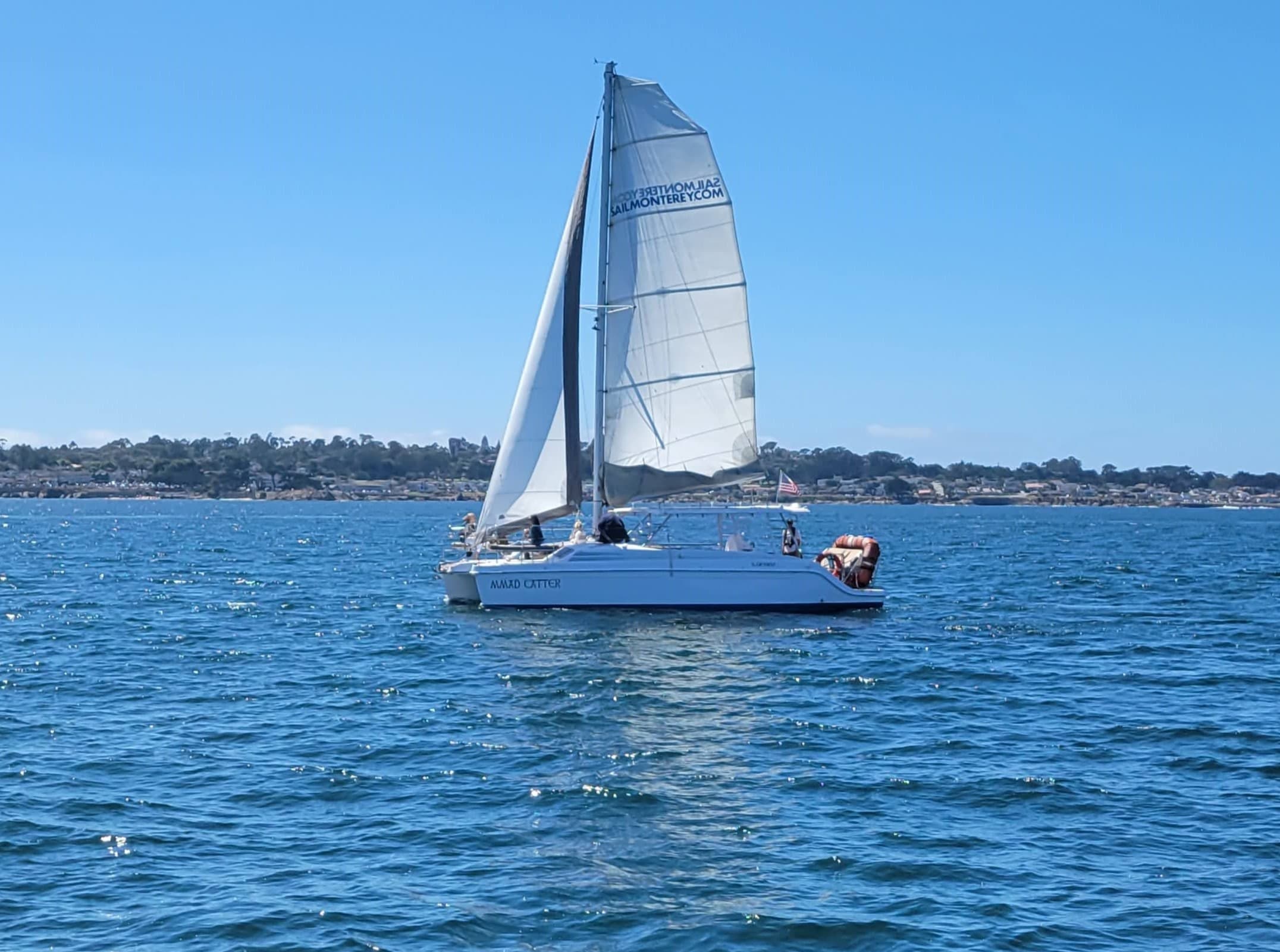 Daytime Catamaran Sailing Cruise