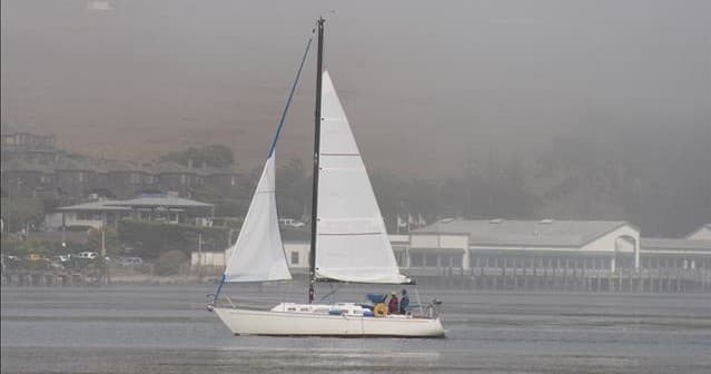 Three Hour Sailing Tour of Bodega Bay