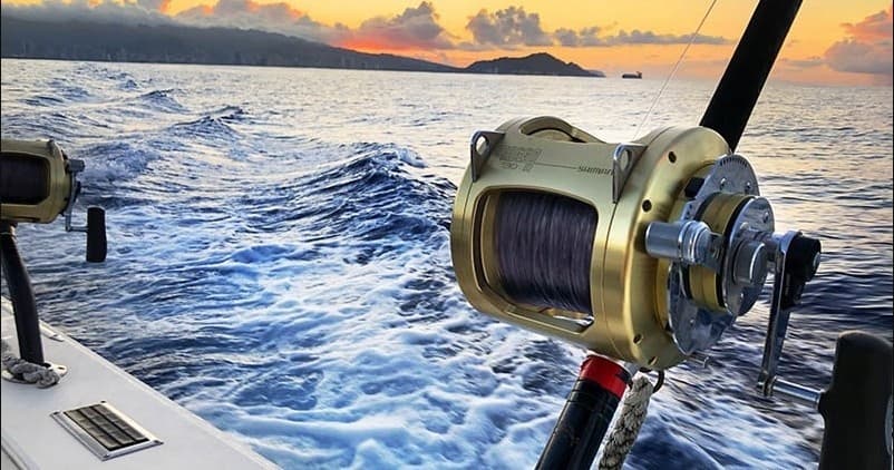 Private Charter - 3/4 Day