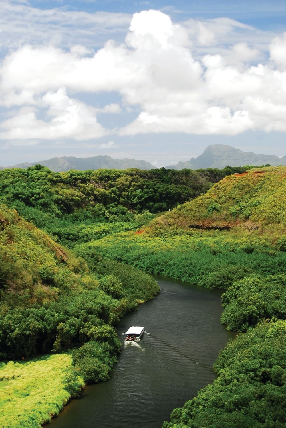 Oahu to Kauai: Waimea Canyon & Wailua River Tour (K1-1D)