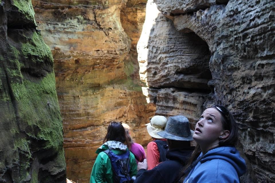 Natural High Forest Ecotour