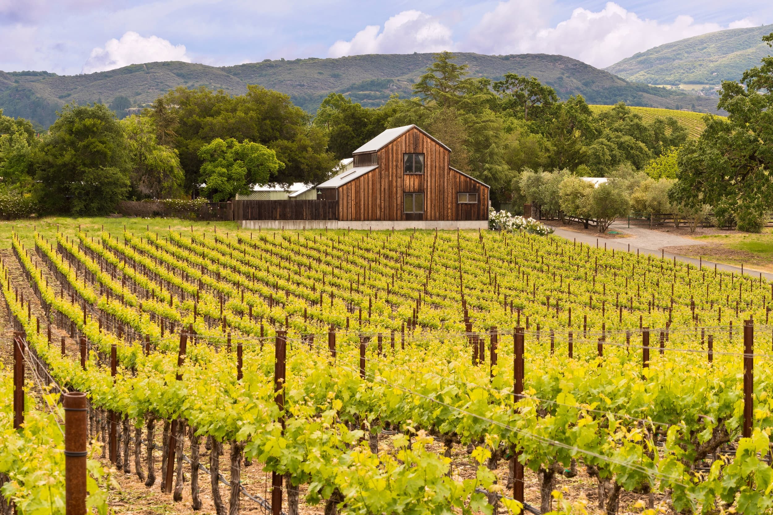 Ultimate Wine Country: 8+ people