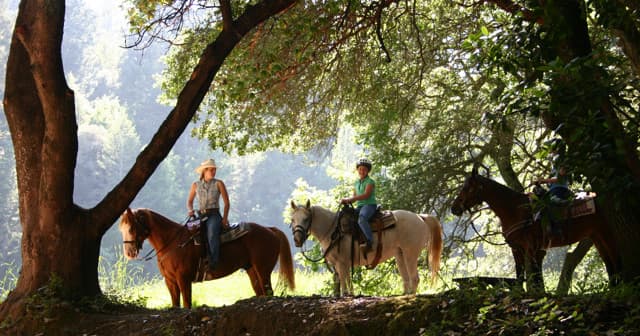 1 Hour Private Ride at Jack London State Park