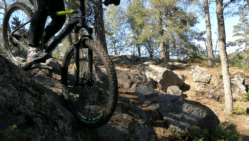 Mountain Biking in Stockholm Forests for Experienced Riders