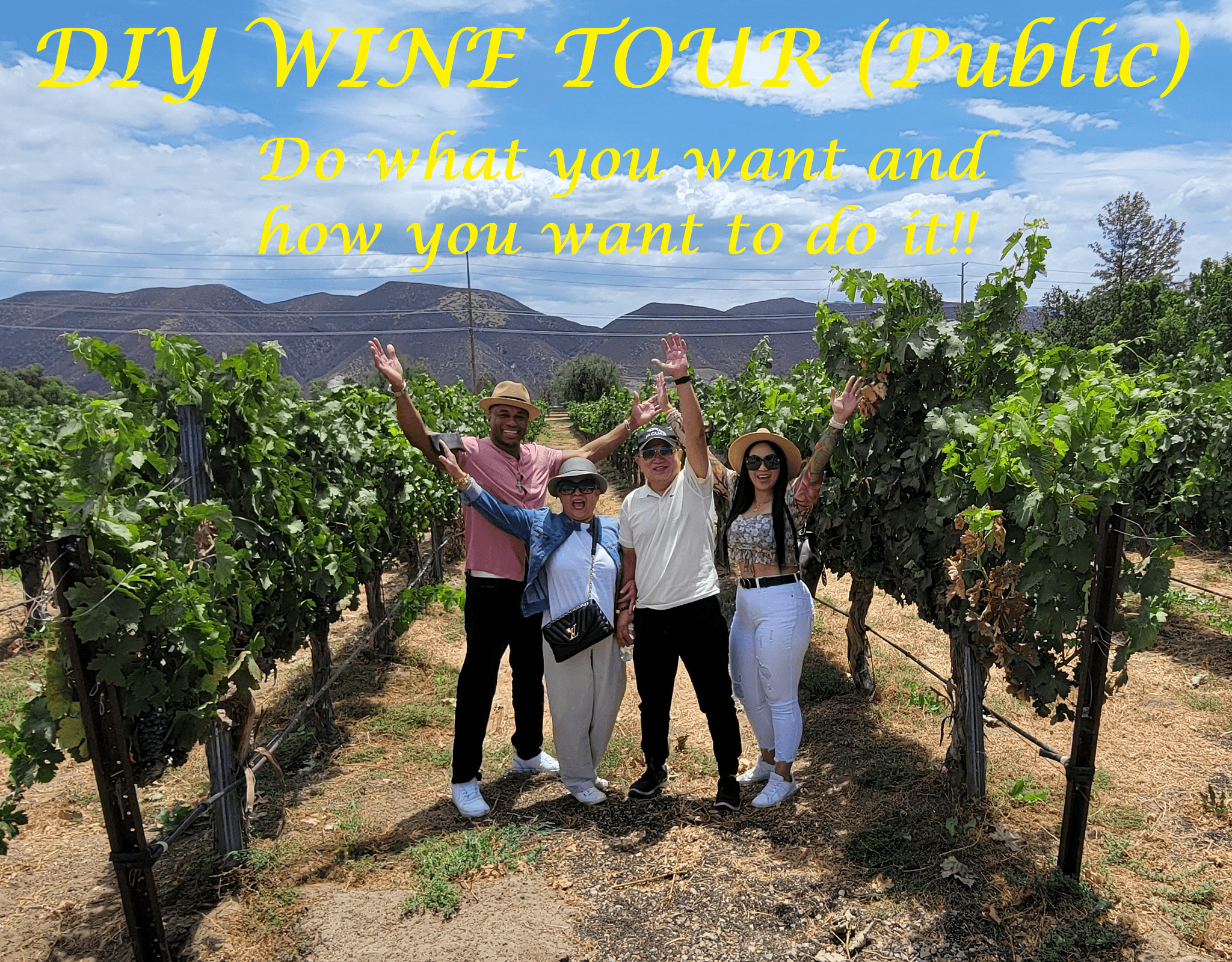 DIY Wine Tour (Public)