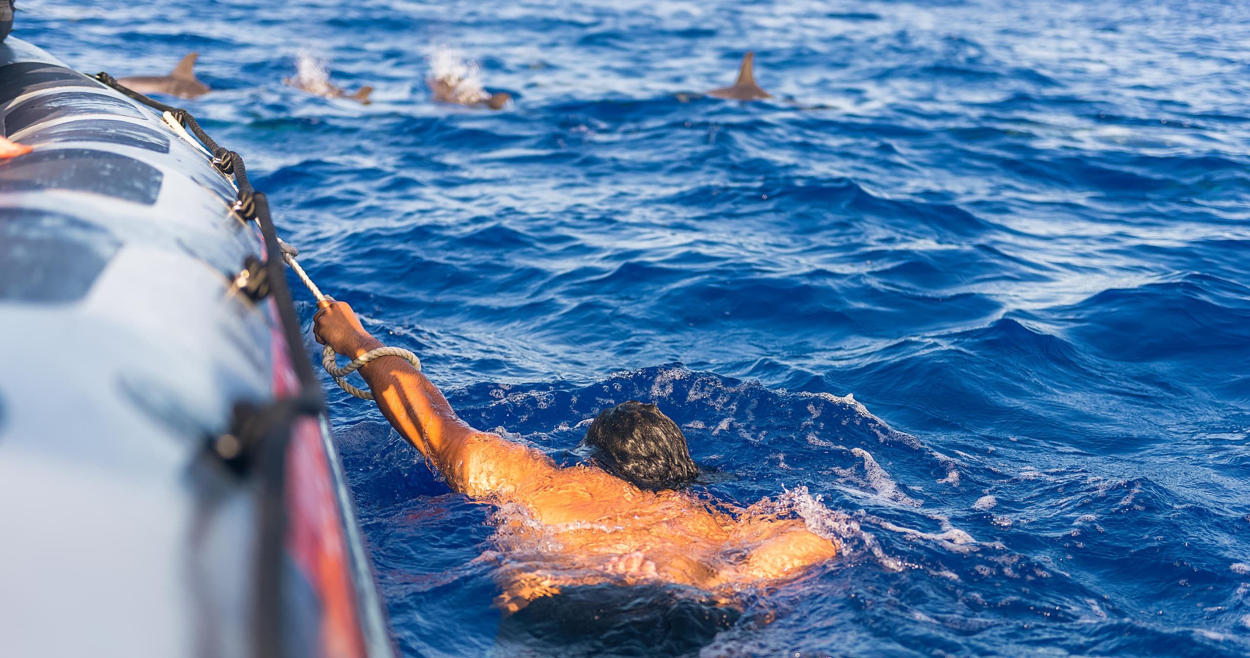 Swimming with Dolphins