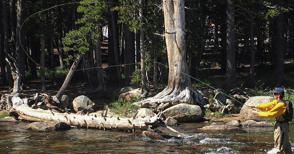 Private High Country Fly Fishing Adventure