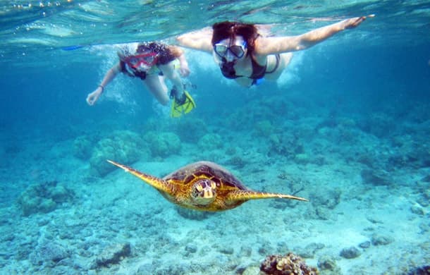 Maho Bay Turtle Snorkel Sail