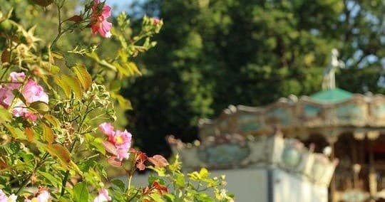 Montmartre Private Tour