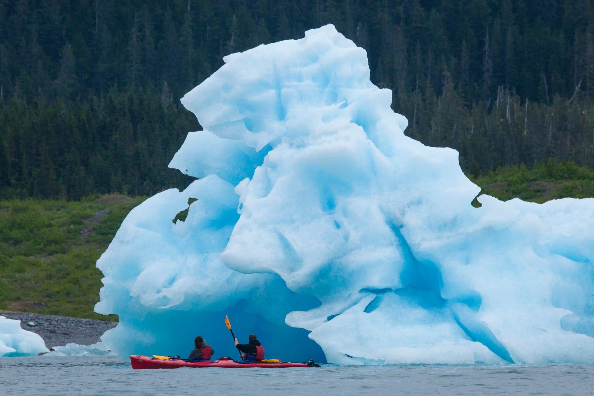 Columbia Glacier Day Tour