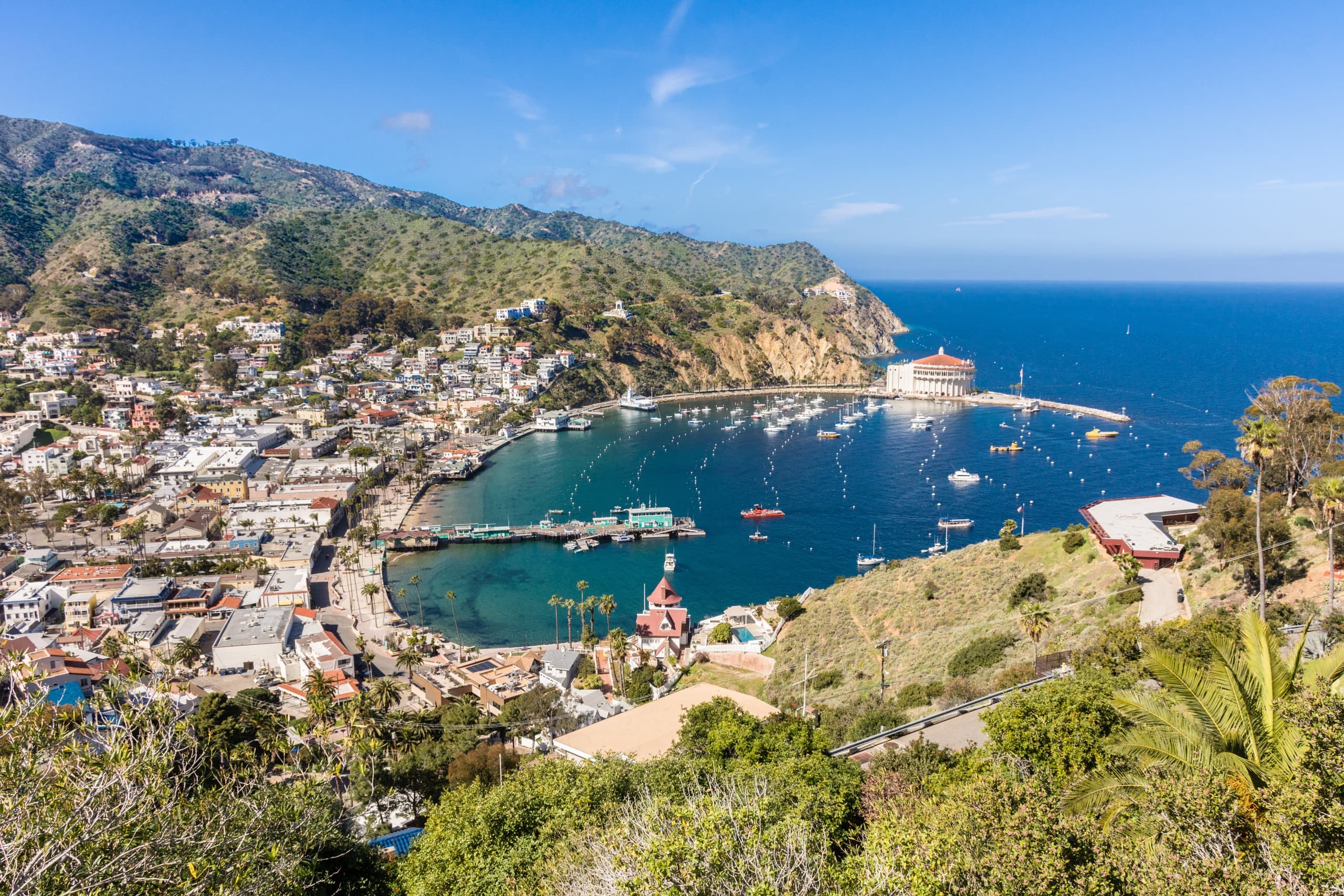 Catalina Island City & Scenic Mt Ada Tour