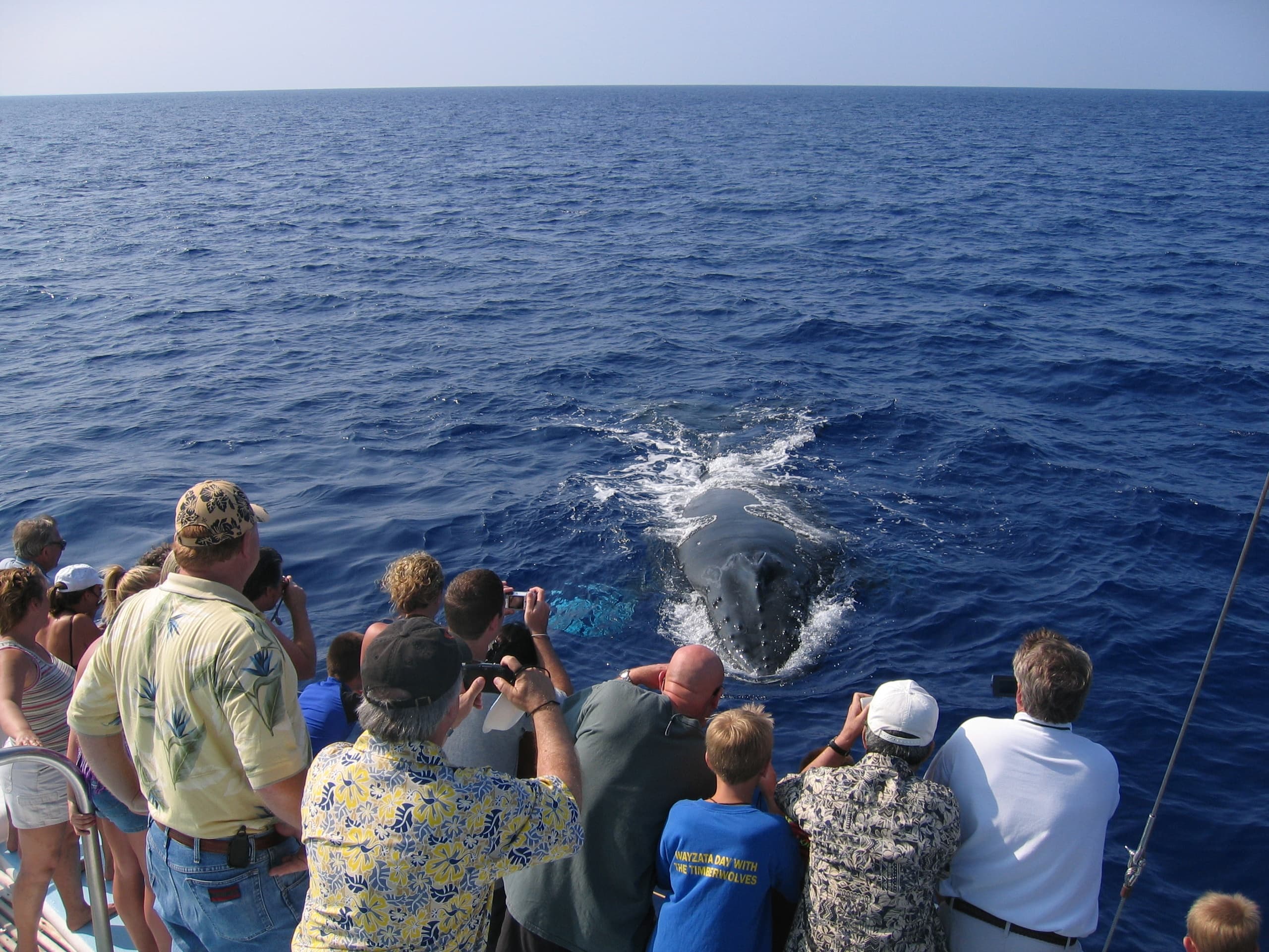 Pau Hana Sunset Cruise with the Whales departing Anaeho'omalu Bay