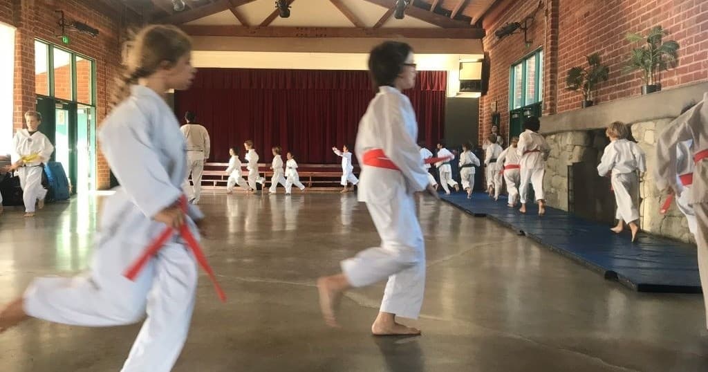 Taekwondo Youth Classes
