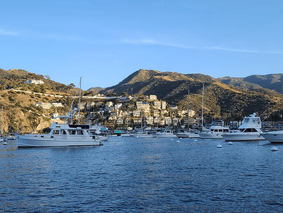 Catalina Wine Mixer