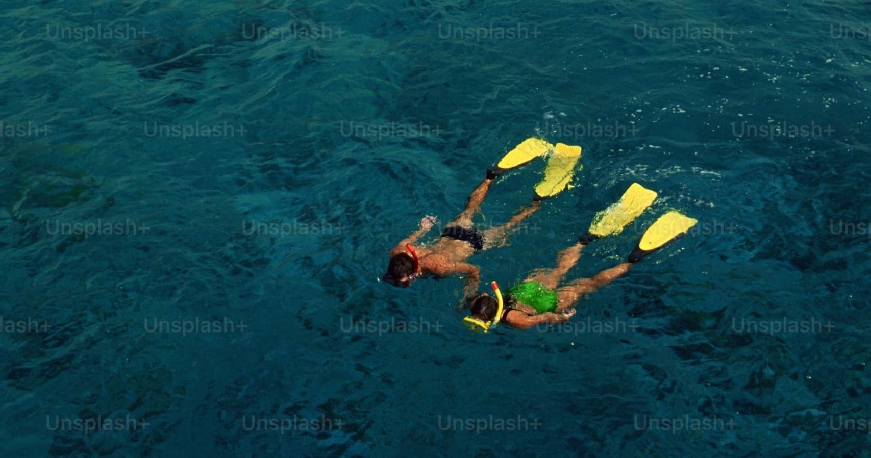Kayak and Snorkel Tour