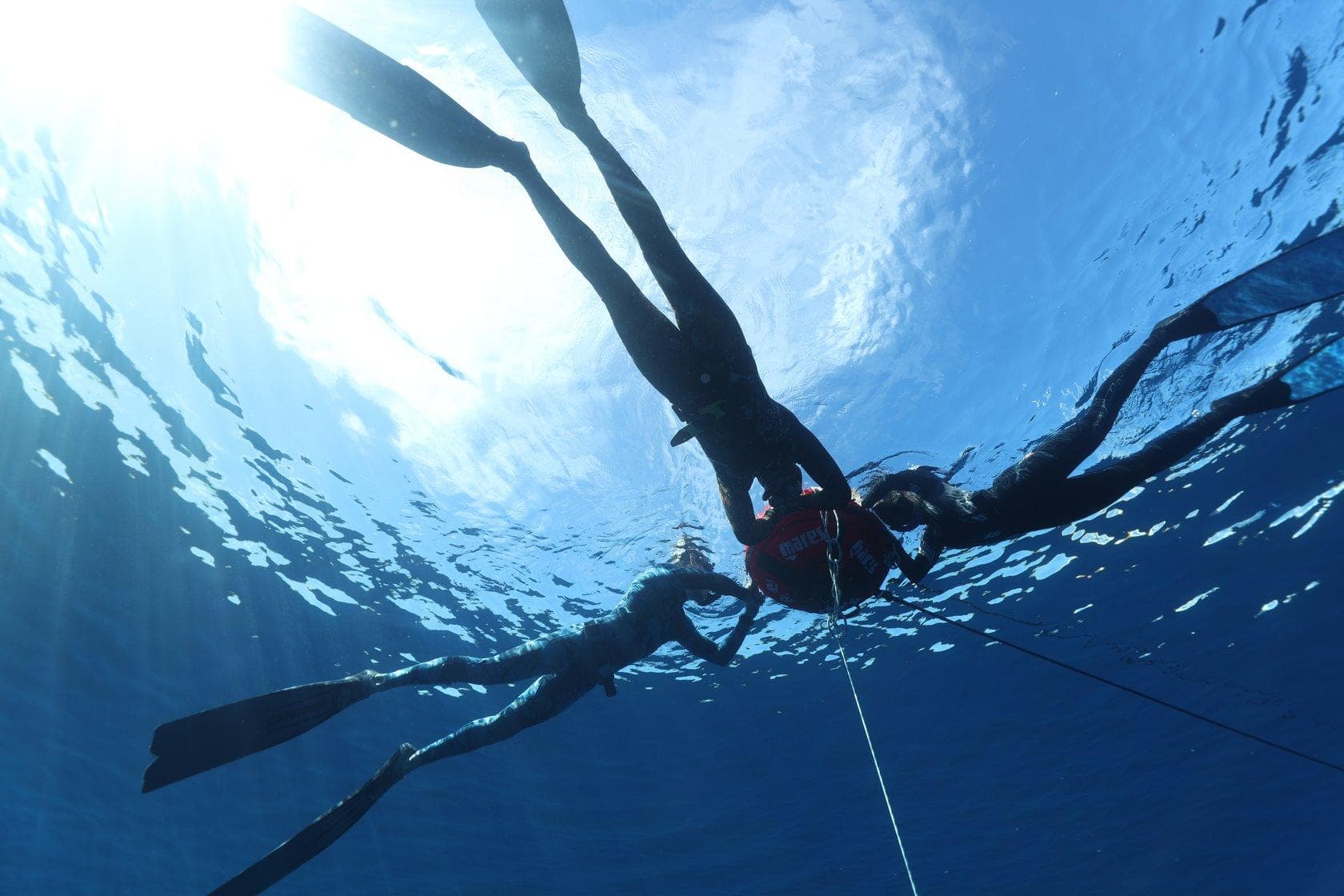 SSI Level 2 or PADI Advanced Freediver Course (3-4 Days)