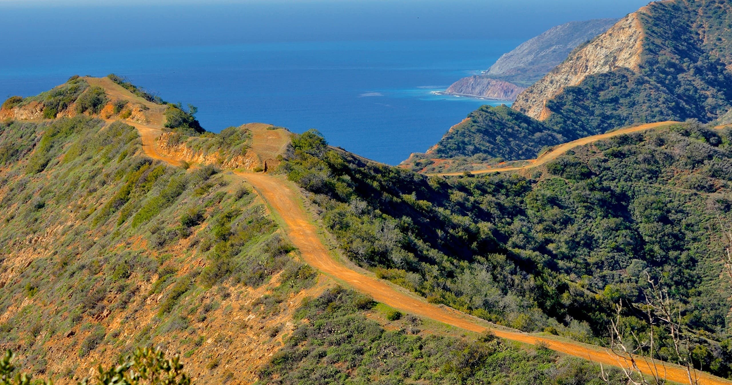 Ridgetop Eco Adventure
