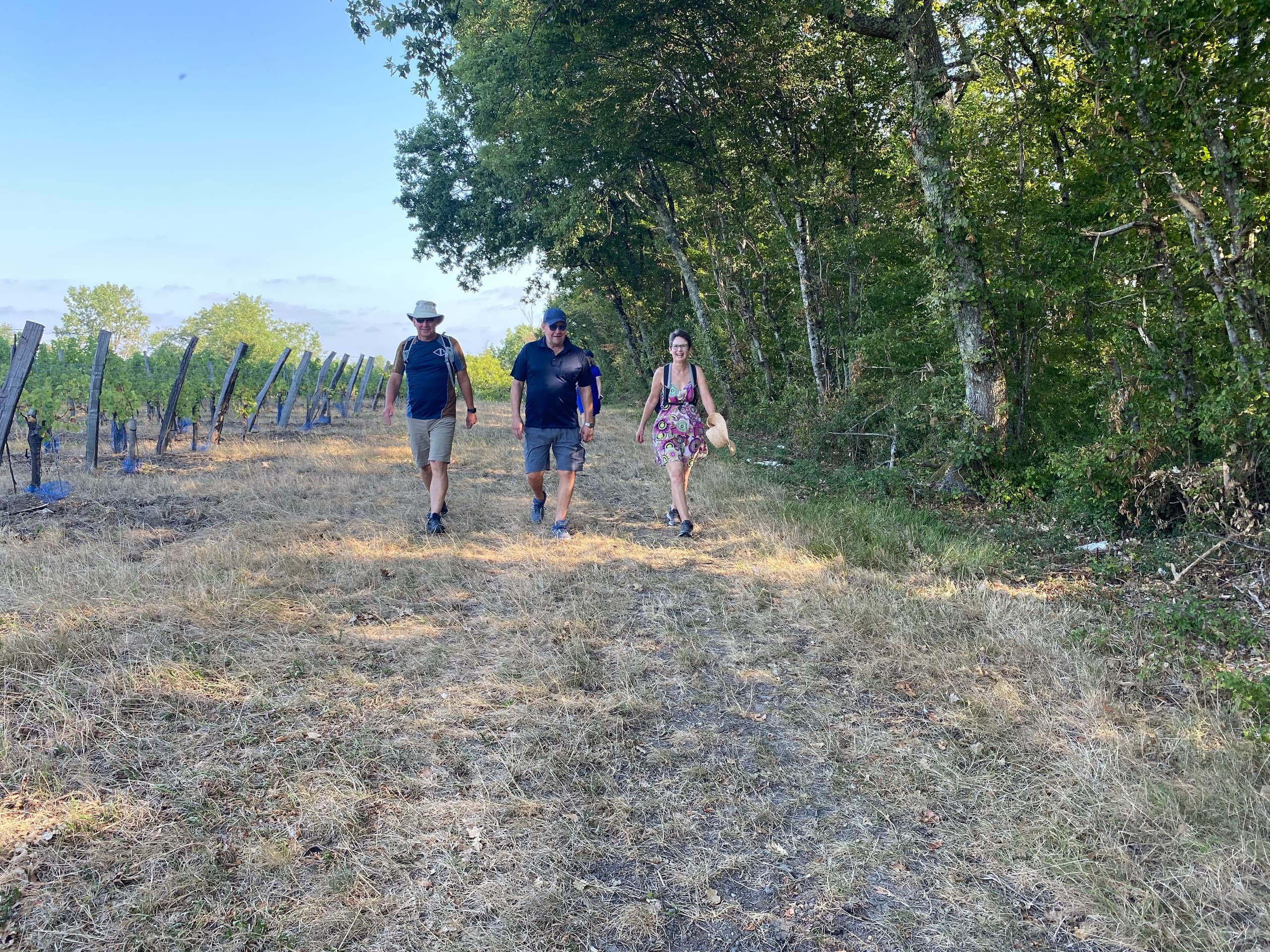 One Day Vineyard Walking Tour