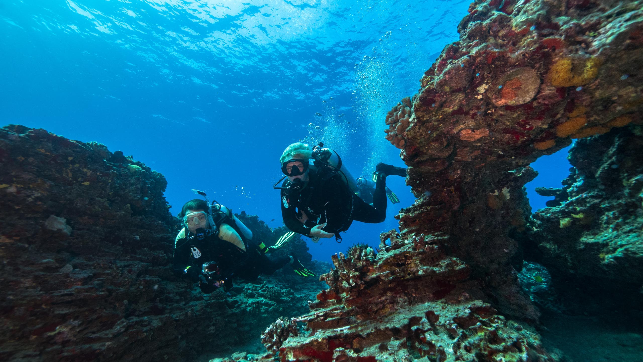 PADI Open Water Referral Course