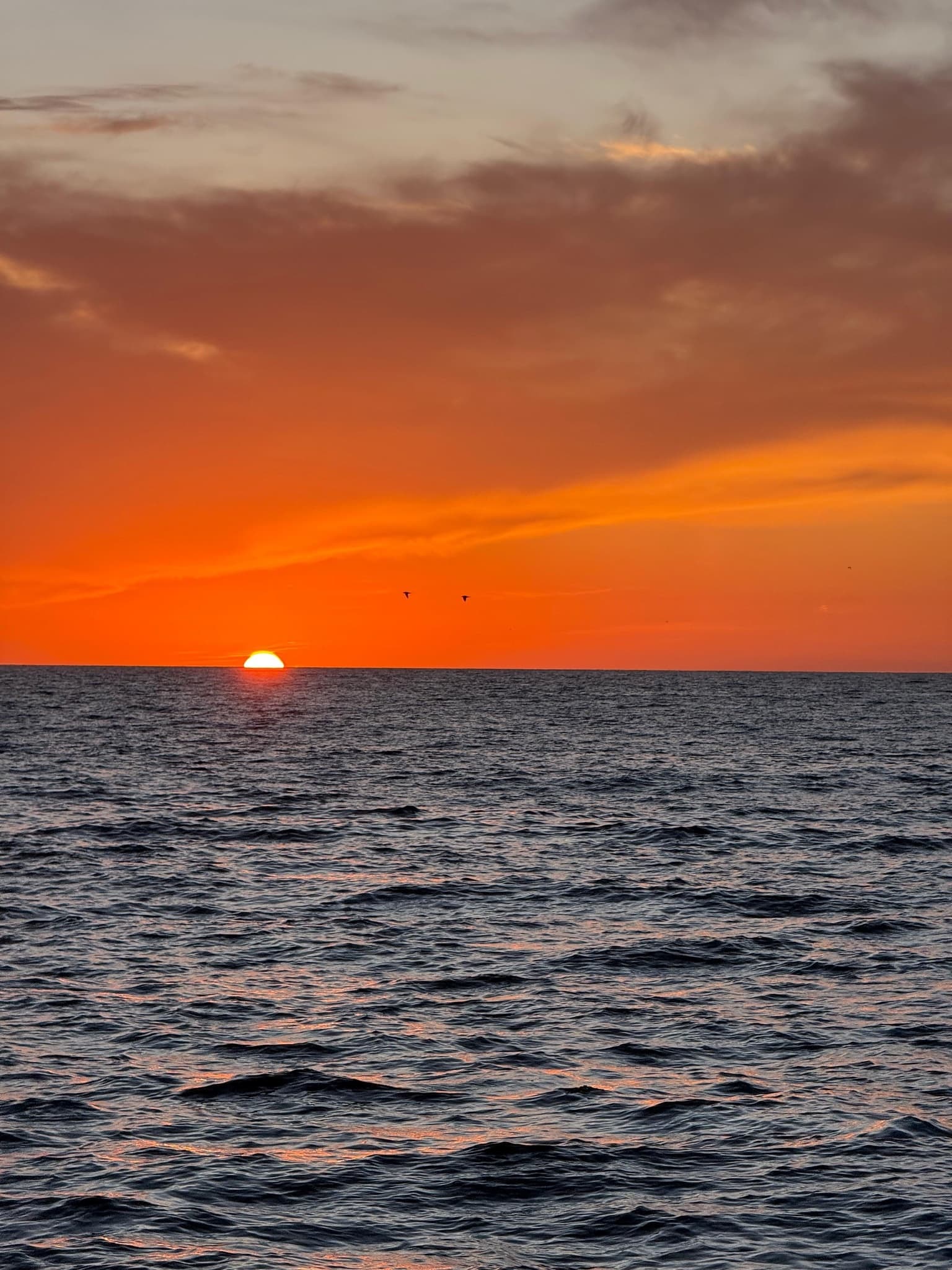 Sunset Sail - 3 hrs